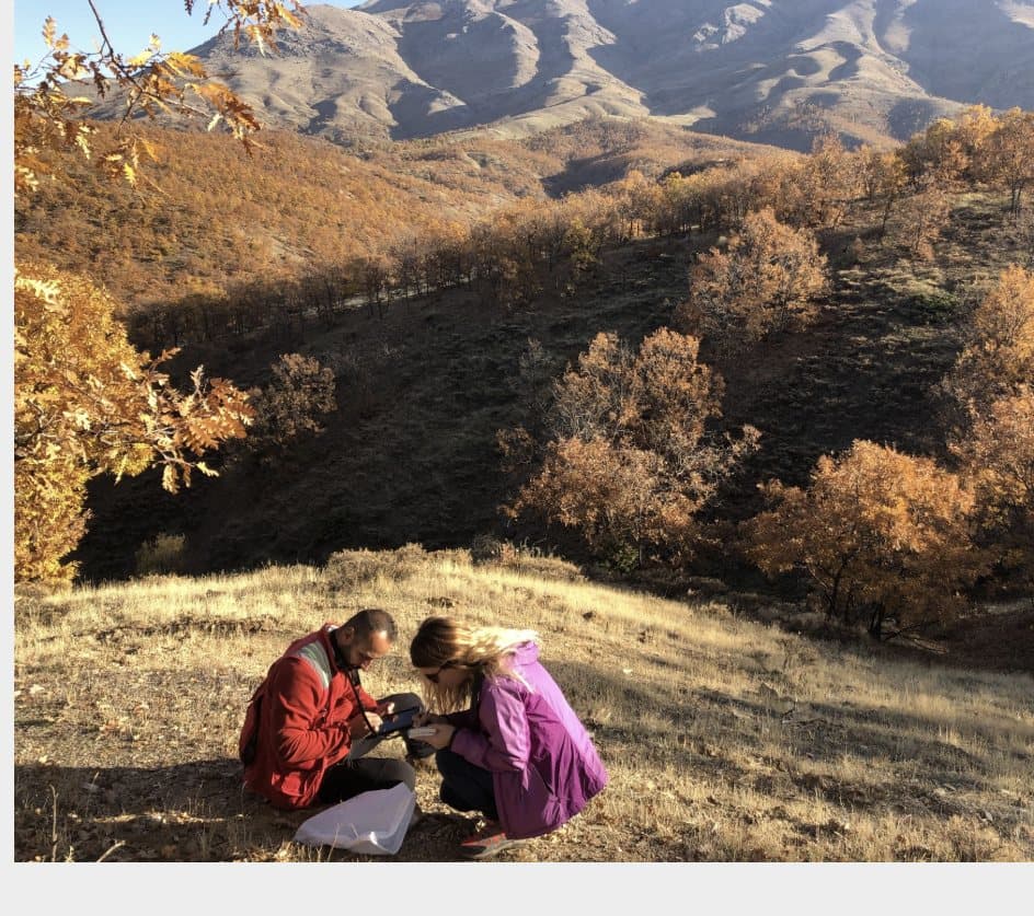 Geologists carrying out fieldwork on a hillside in autumn